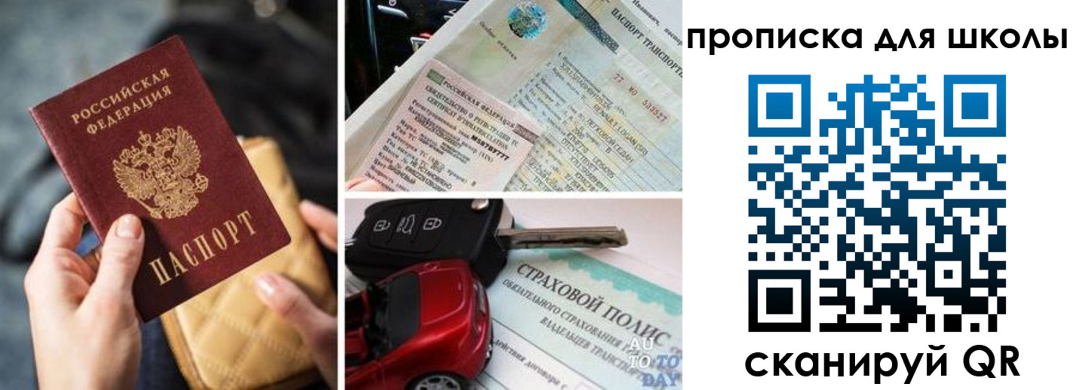 прописка регистрация в Зее