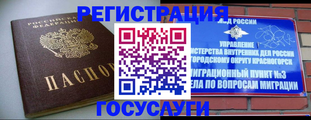 временная прописка в Зее